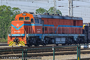 10D-1005 DF10D-1005 غ˾