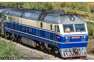 11-0219 DF11-0219 