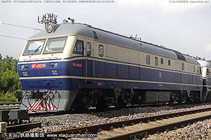 11-0239 DF11-0239 ֣֣