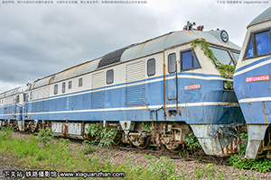 ����11-0263 DF11-0263 �Ͼ�ӥ��