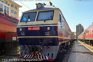 11-0365 DF11-0365 ϶