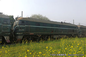 ����4-6369 DF4-6369 �Ͼ����