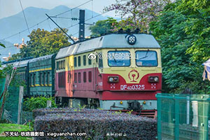 4D-0325 DF4D-0325 Ͼӥ