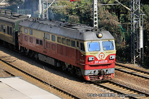 4D-0335 DF4D-0335 Ͼֺ϶