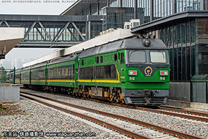 4D-0560 DF4D-0560  