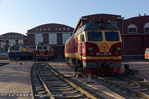 4D-3018 DF4D-3018 