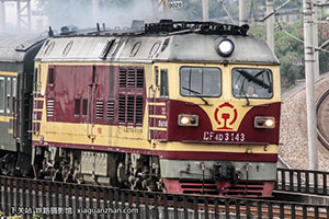 4D-3143 DF4D-3143 ߶