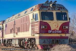 4D-3199 DF4D-3199 