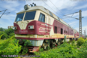 4D-3309 DF4D-3309 Ͼֺ϶ 