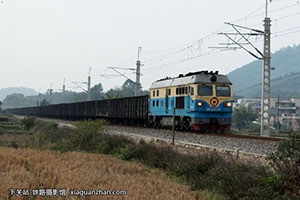 4D-4119 DF4D-4119 غ˾