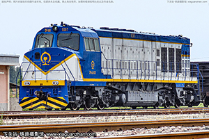 4DD-0307 DF4DD-0307 糧