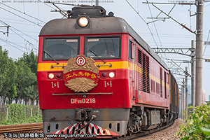 8B-0218 DF8B-0218 ϻ·