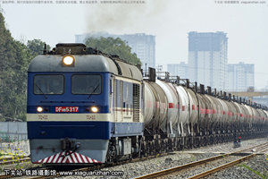 8B-5317 DF8B-5317 ɾֳɶ