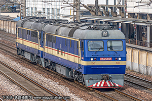 ����8B-5365 DF8B-5365 ֣��֣��