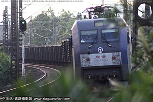 г1C-0113 HXD1C-0113 Ͼӥ