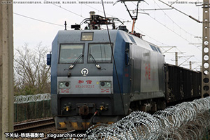 г1C-0217 HXD1C-0217 Ͼӥ