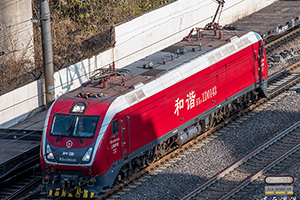 г1D-0143 HXD1D-0143 Ͼֻ