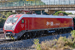 г1D-0147 HXD1D-0147 Ͼֻ