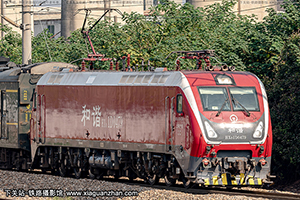 г1D-0479 HXD1D-0479 Ͼֻ