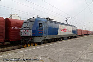 г3C-0498 HXD3C-0498 Ͼӥ