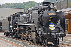 D51���������� D51-194 ���Ұվ��