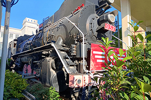  JS-0957 Ϻͷ ԭ8365