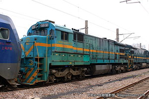 ڵ5-0191 ND5-0191 Ͼ