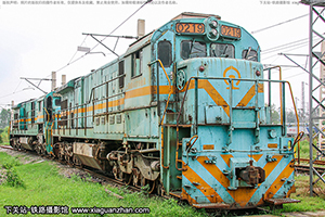 ڵ5-0219 ND5-0219 Ͼֺ϶