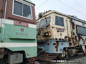 ɽ3-5087 SS3-5087 ɾֳɶ