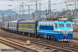 ��ɽ8-0242 SS8-0242 ��������