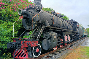  SY-0359 Ϻר 