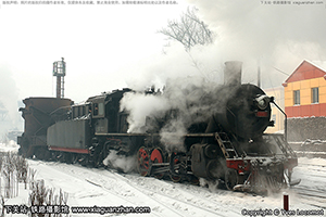  SY-0733 