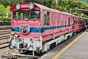 DD20-203 �󾮴�����