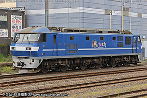 EF210-123 �º׼�������