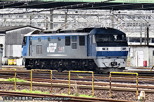 EF210-156 ���������