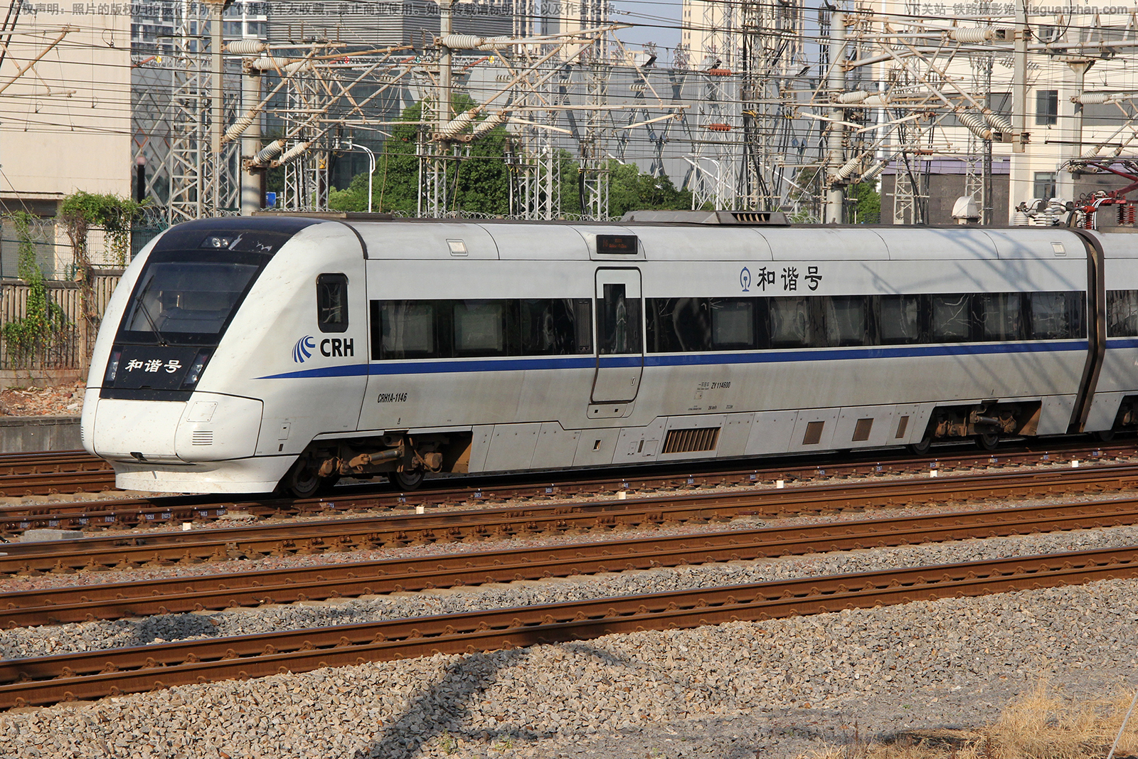 CRH1A-1146 南局福州动车段 CRH1A-1146 南局福州动车段