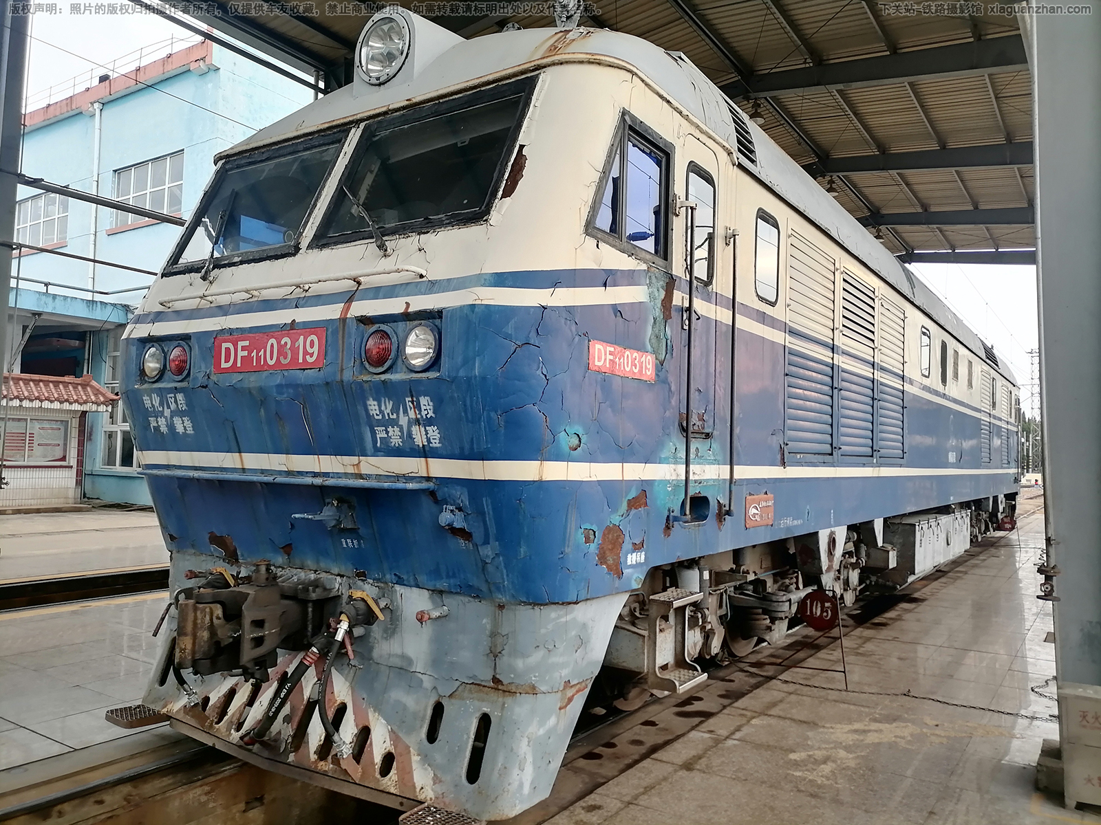 ����11-0319 DF11-0319 �Ͼ�ӥ��