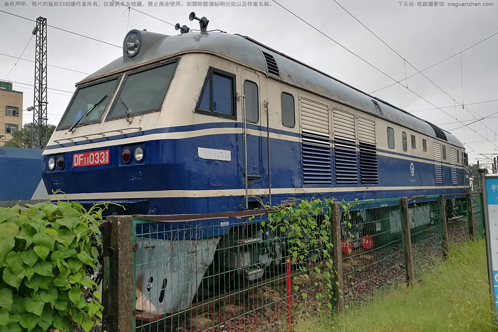 ����11-0331 DF11-0331 �Ͼ�ӥ��