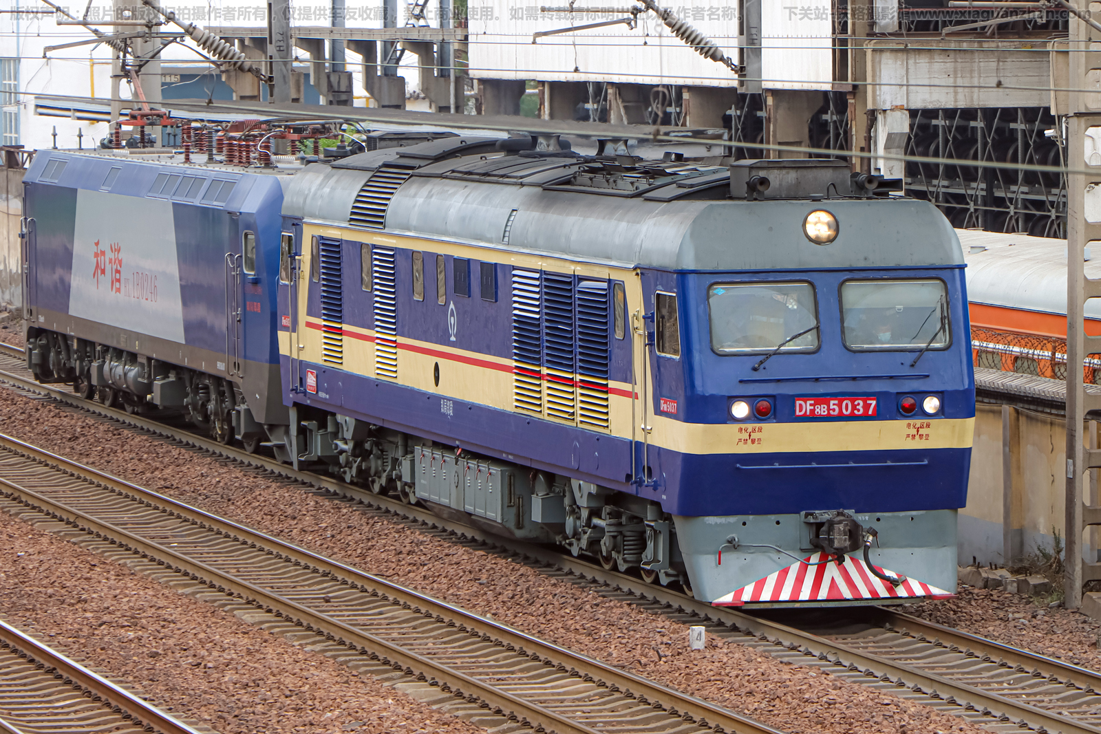 ����8B-5037 DF8B-5037 ֣��֣��