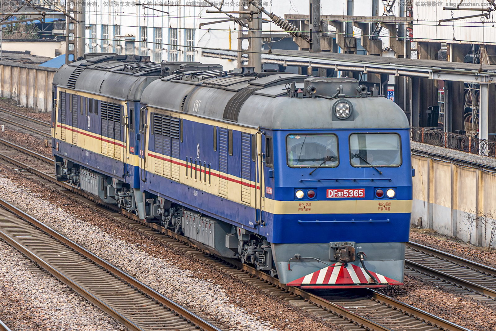 ����8B-5365 DF8B-5365 ֣��֣��