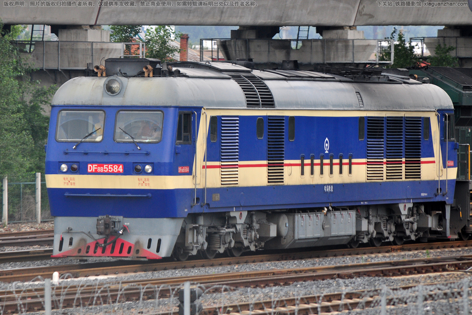 ����8B-5584 DF8B-5584 ����ĵ��