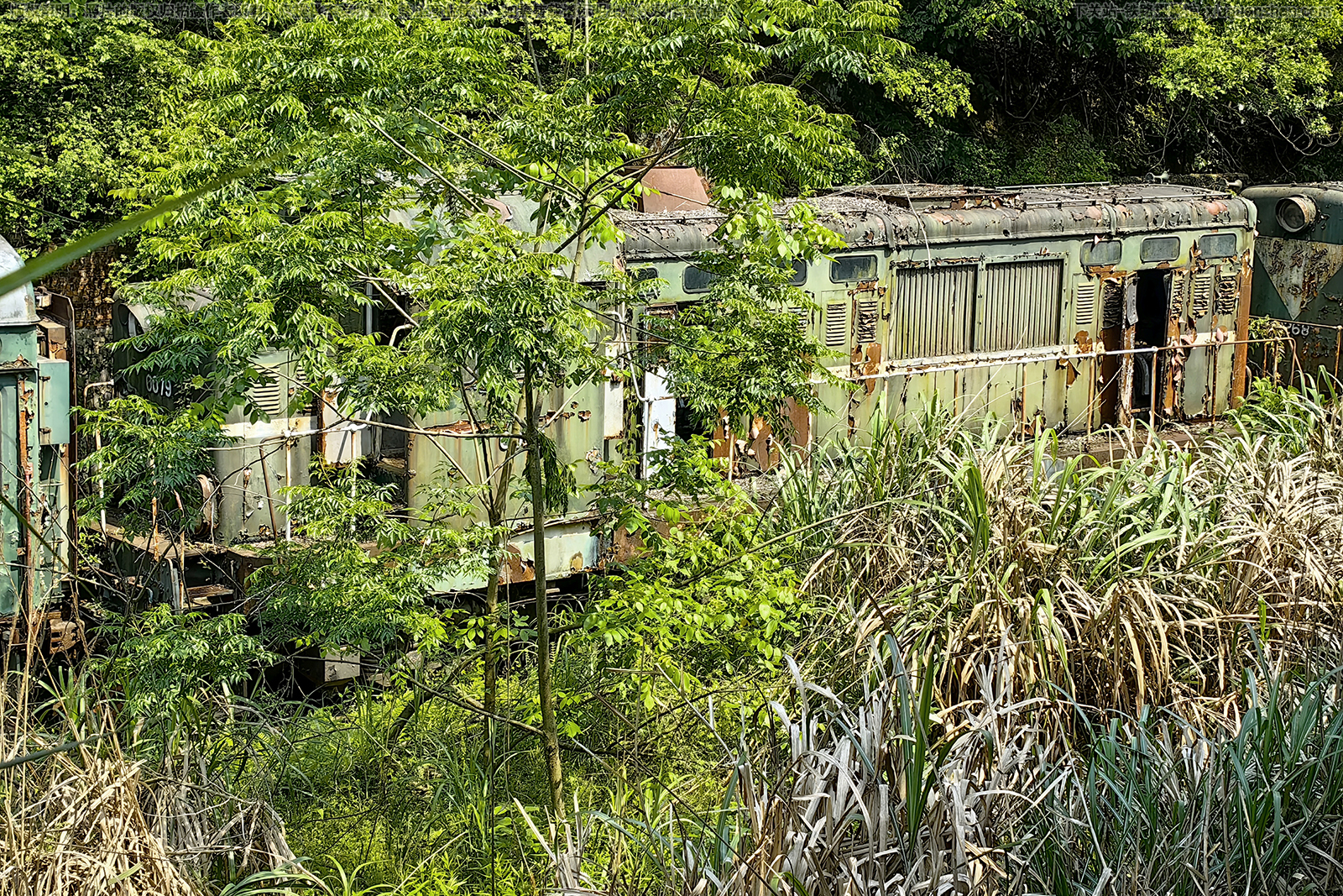 ������5-0079 DFH5-0079 ͭ�공����