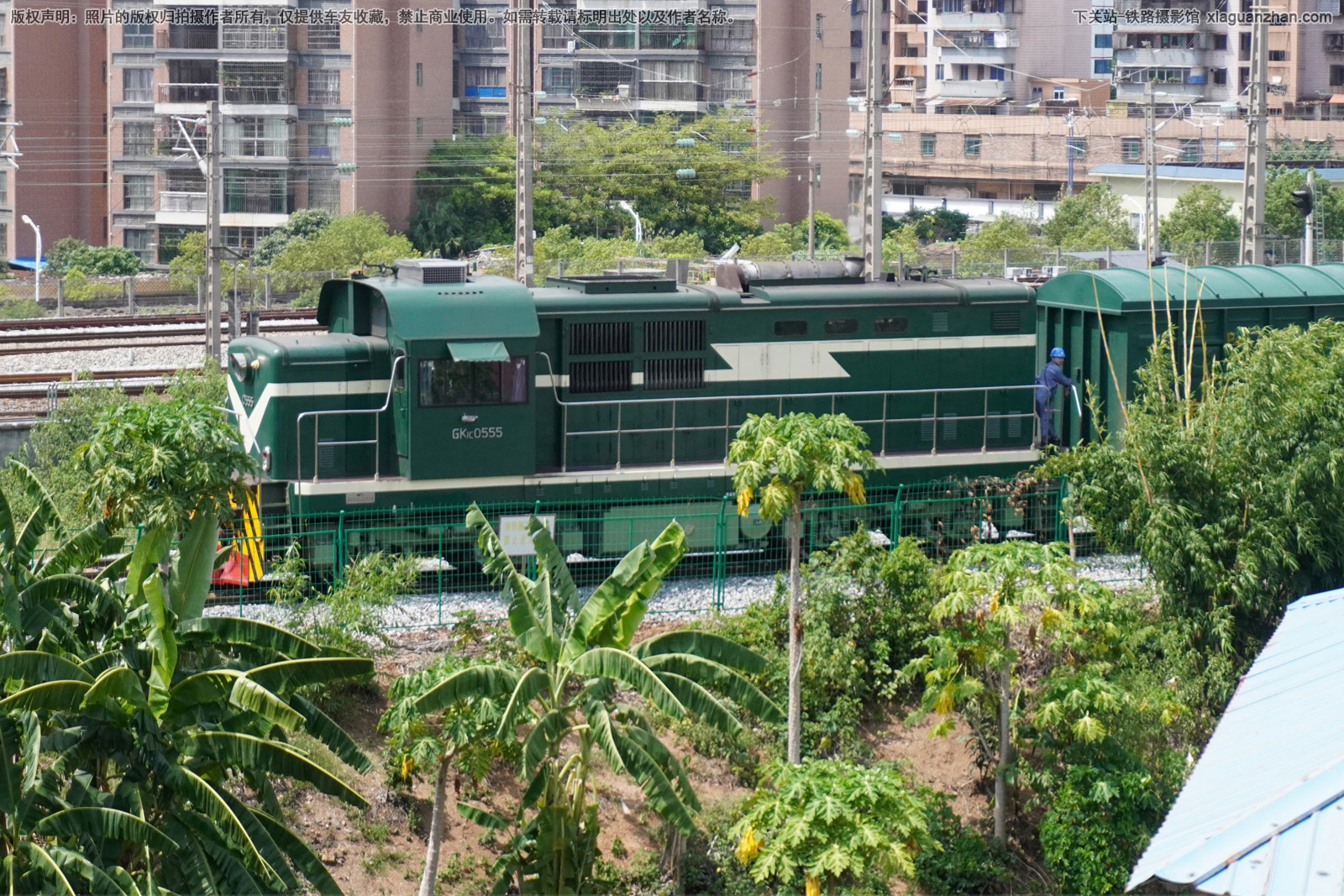 ����1C-0555 GK1C-0555 �عظ�����