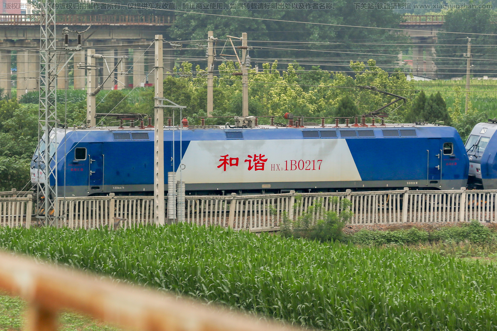 ��г��1B-0217 HXD1B-0217 ��ֽ���