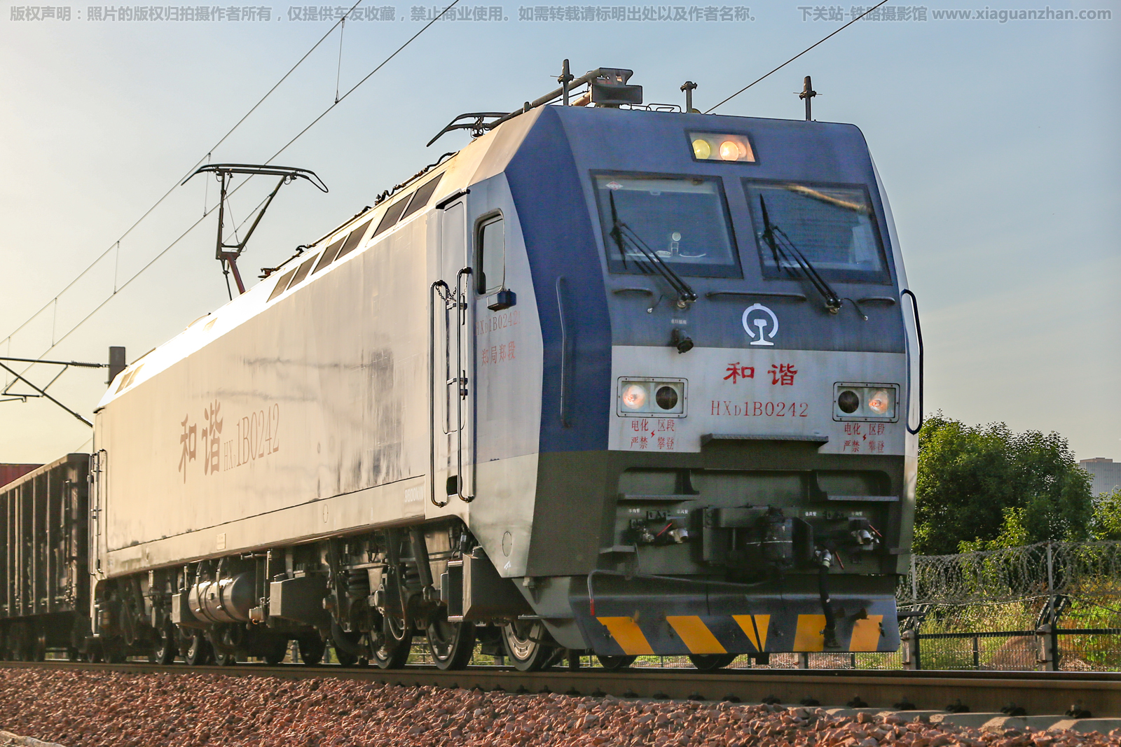 ��г��1B-0242 HXD1B-0242 ֣��֣��