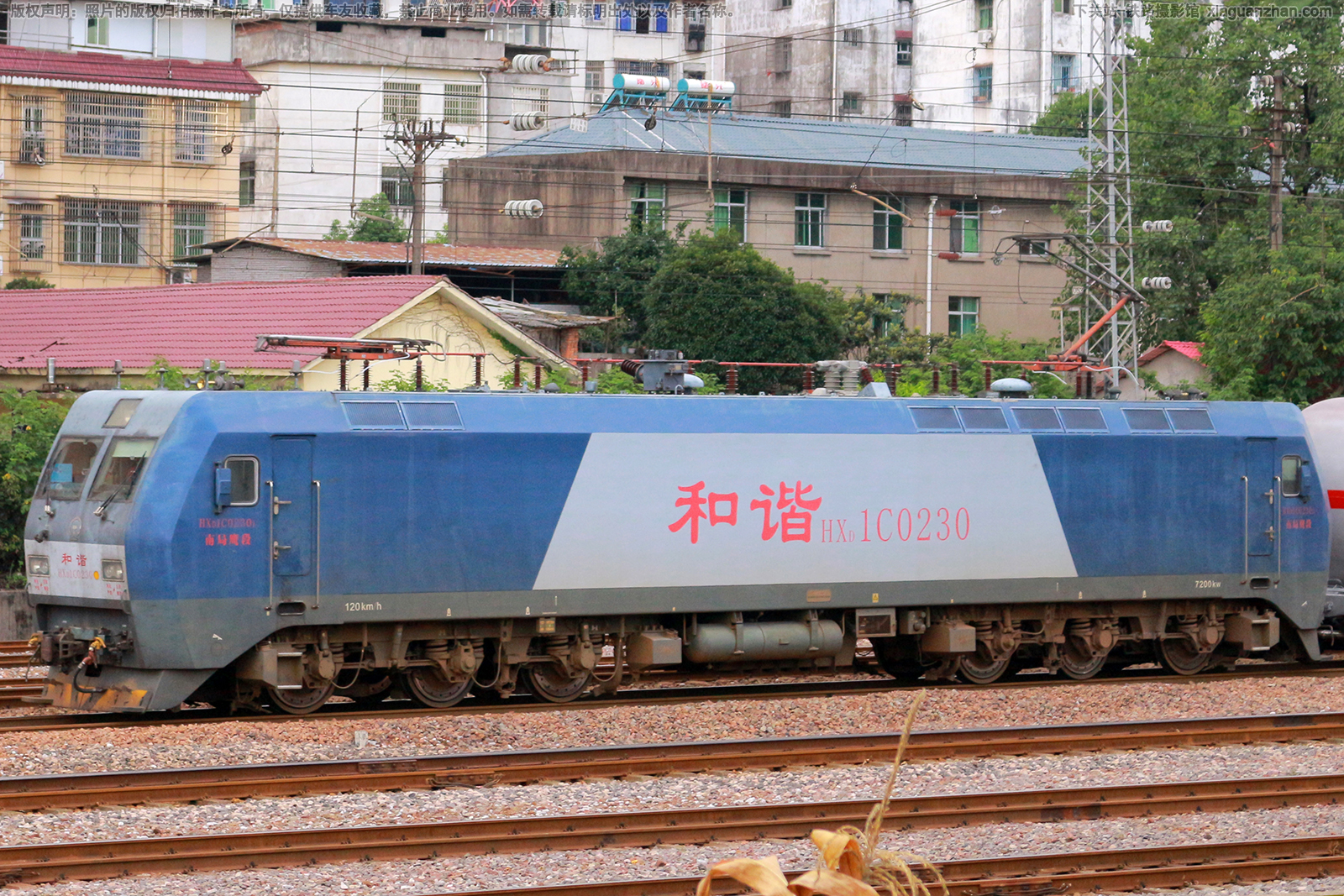 ��г��1C-0230 HXD1C-0230 �Ͼ�ӥ��