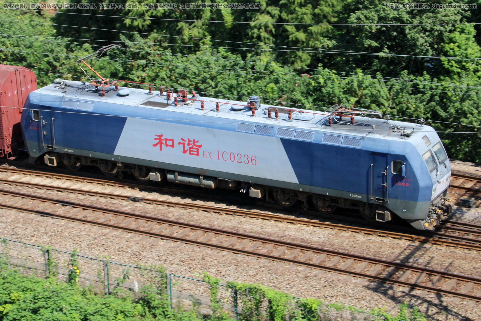 ��г��1C-0236 HXD1C-0236 �Ͼ�ӥ��