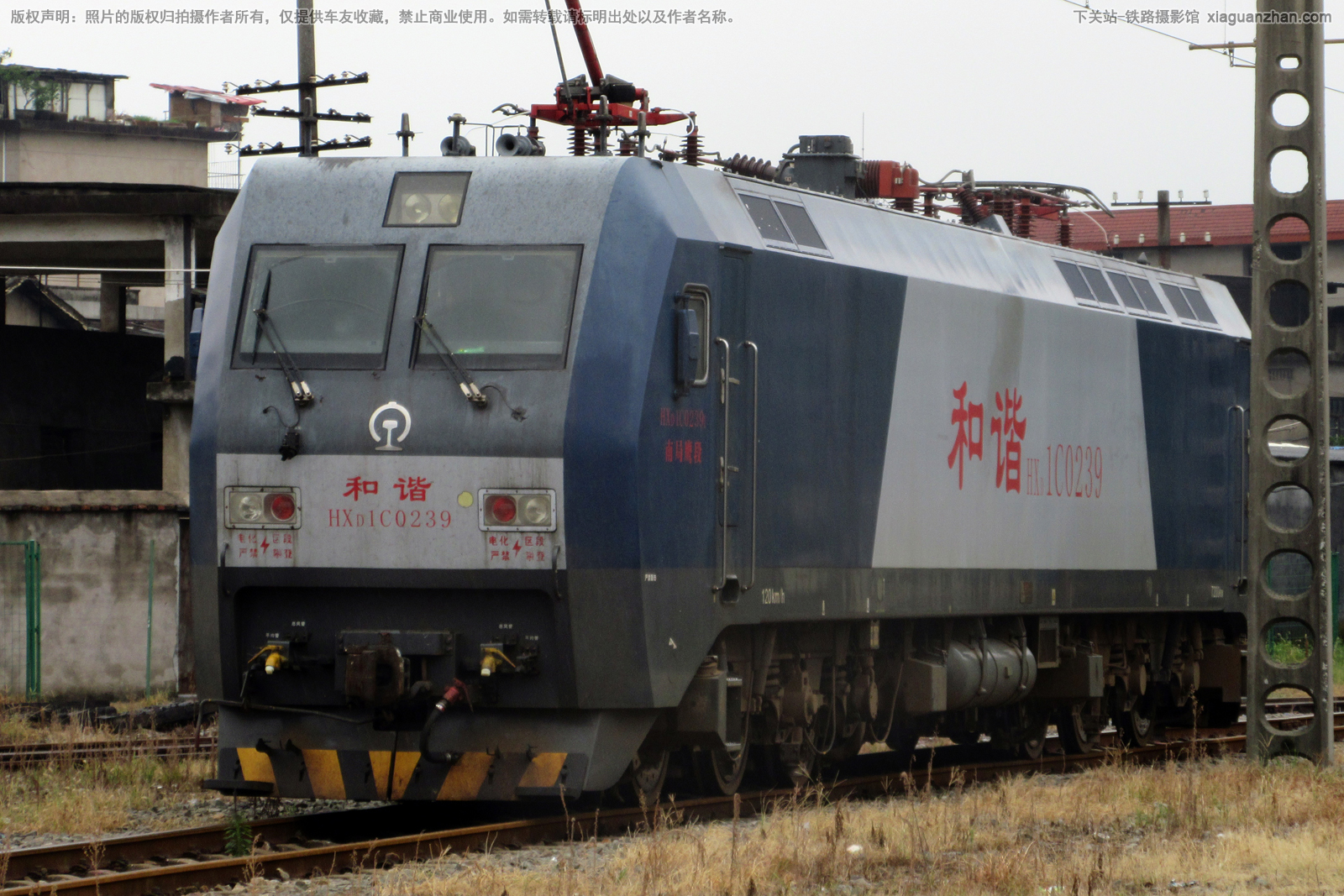 ��г��1C-0239 HXD1C-0239 �Ͼ�ӥ��