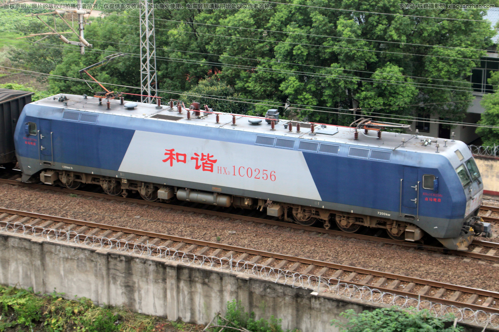 ��г��1C-0256 HXD1C-0256 �Ͼ�ӥ��