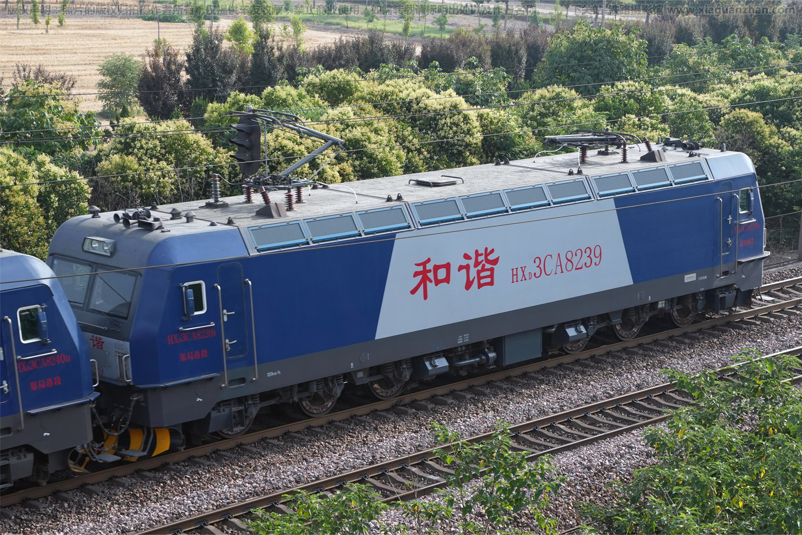 和谐电3CA-8239 HXD3CA-8239 郑局洛段 和谐电3CA-8239 HXD3CA-8239 郑局洛段